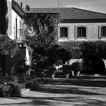Hotel La Caveja Pietravairano Exterior foto